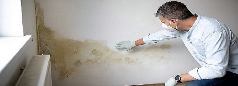 The Mould Assessors cover