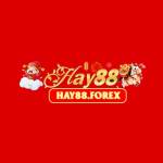 hay88 forex