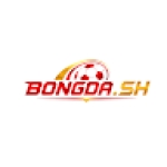 Bongda sh