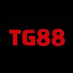 tg888zcom