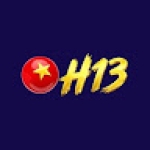 H13 Buzz
