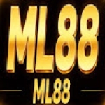 Ml88ml dev