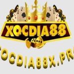Nhà cái Xocdia88