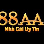 88AA