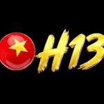 H13