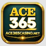 ace365casino net