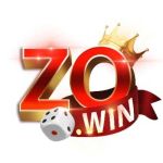 zowin contact