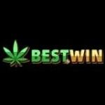BestWin Casino