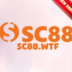 Following profile image