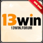 13win forum