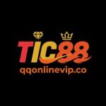 TIC88 Thu Vĩnh