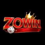 Zowins games