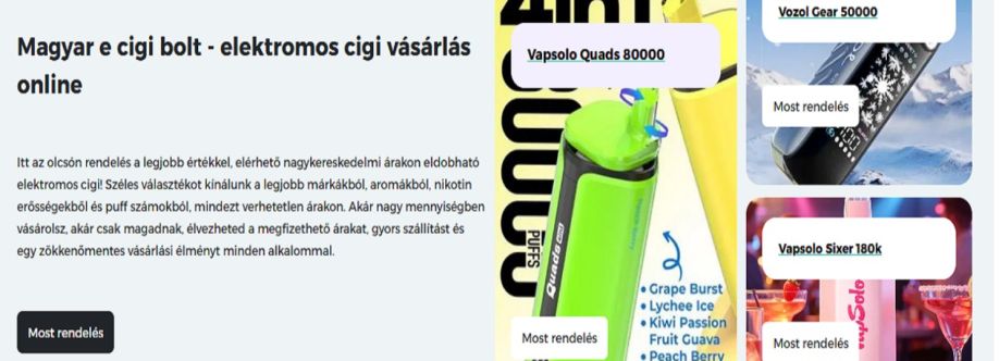 E cigi bolt cover