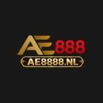Ae8888 nl