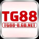 tg888gbnet1