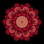 Vera Studio Studio Profile Picture