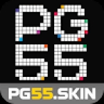 pg55skin