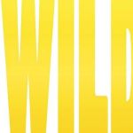 Iwild Casino