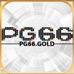 pg66gold Profile Picture