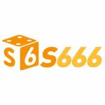 S666 ctk
