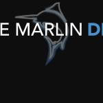 Padi divemaster gili trawangan Profile Picture