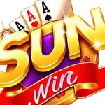 sunwincomskin ls