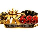TK688 Zook