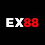 EX88 Hitt