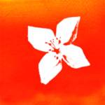 Bpi Empresas Profile Picture