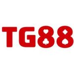 Tg88vip co