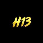 H13 com