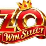 ZOWIN