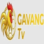 Gavang TV Profile Picture