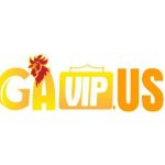 gavip us