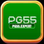 pg55expert Profile Picture