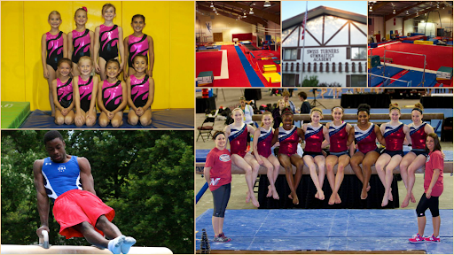 Swiss Turners Gymnastics Academy Profile Picture