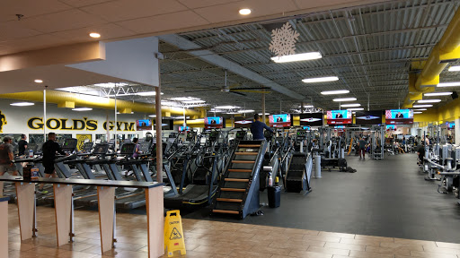 Gold\'s Gym Profile Picture