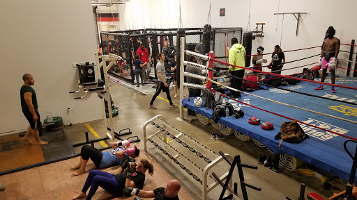 Fight Firm Muay Thai Boxing Gym Profile Picture