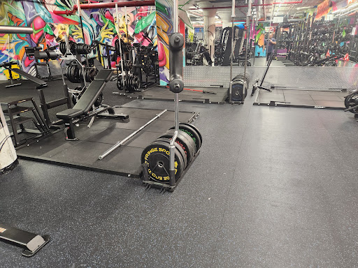 Absolute Power Fitness Profile Picture