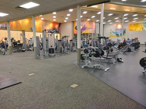 LA Fitness Profile Picture