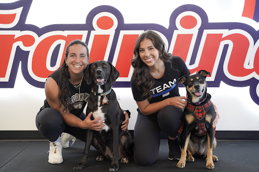 F45 Training Clarendon Profile Picture