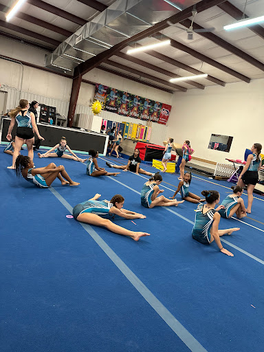 Top Notch Gymnastics Inc Profile Picture