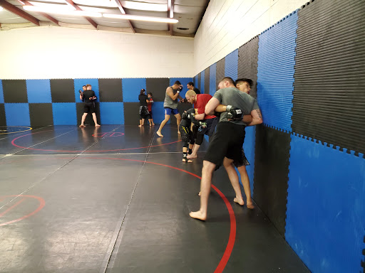Desert Dynasty MMA Profile Picture