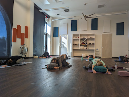 Wellness Sutra Yoga & Ayurveda Profile Picture