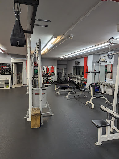 Evolution Fitness Profile Picture