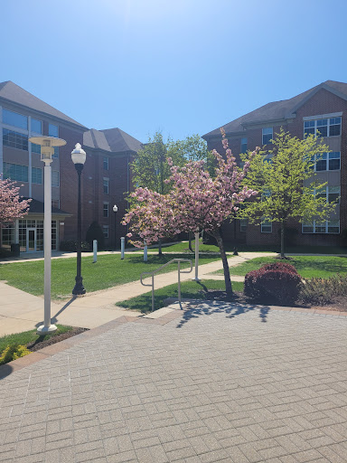 Stevenson University  Owings Mills Gym Profile Picture