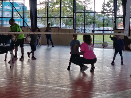 Complejo Voleibol Arrevica Profile Picture