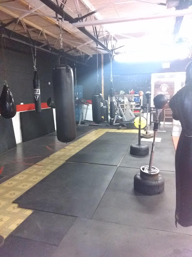 Cruz Discipleship Boxing Profile Picture