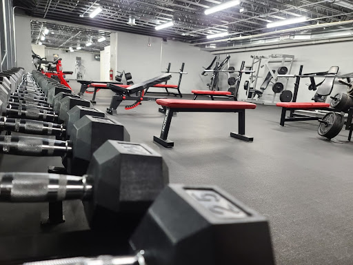 Vitruvian Gym Profile Picture