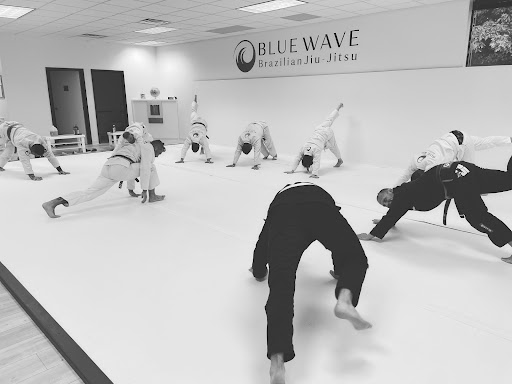 Blue Wave Brazilian Jiu Jitsu Profile Picture